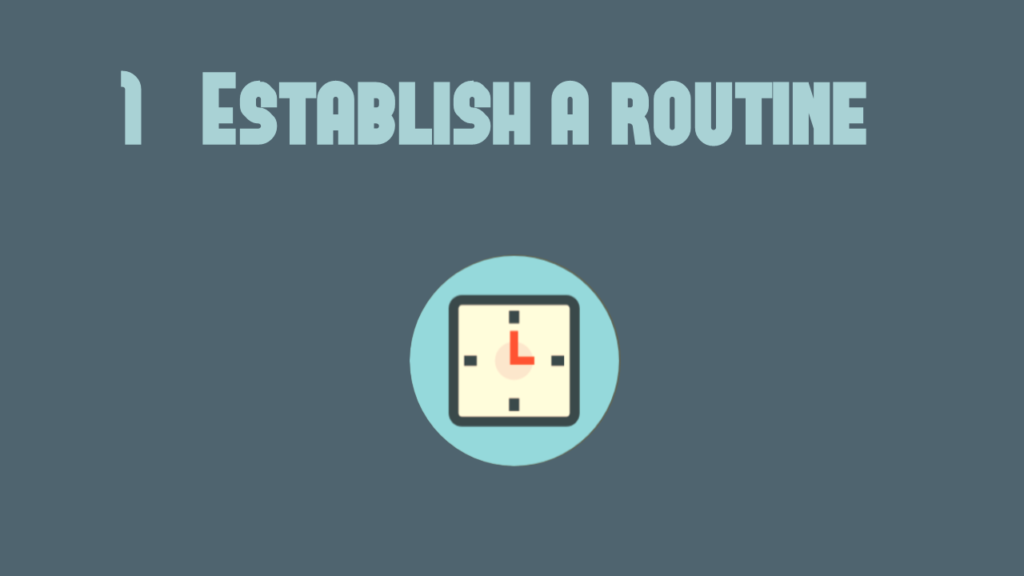 1) Establish a routine