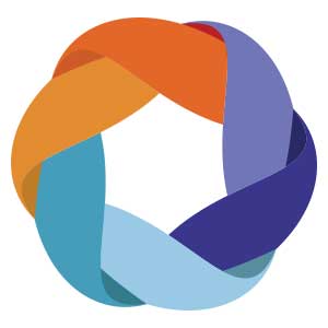 The Community Solution logo
